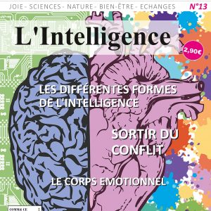 SANE 13 – L'Intelligence - Version Papier
